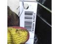 panel-priborov-shhitok-skoda-octavia-i-a4-art-98512-small-3