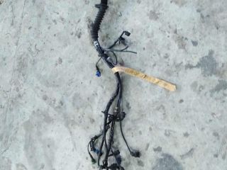 elektriceskaia-provodka-audi-a6-c5-alf-art-16157