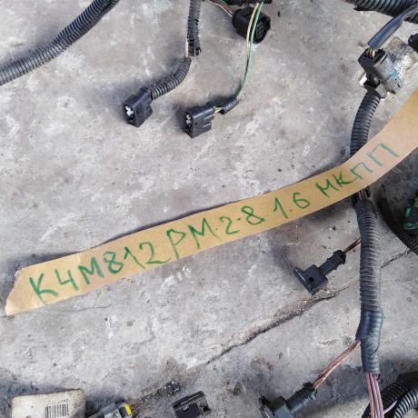 elektroprovodka-renault-megane-2-16-k4m-812-art-34889-big-3