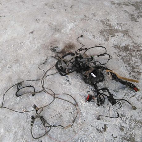 elektroprovodka-ford-transit-vii-11gv-art-46313-big-5