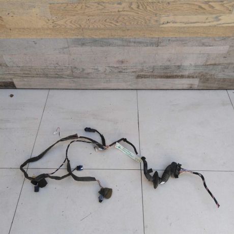 elektroprovodka-perednei-pravoi-dveri-renault-megane-2-16i-mkpp-07gv-rest-art-56987-big-0