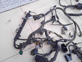 elektroprovodka-podkapotnaia-kia-ceed-art-84397