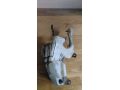bacok-omyvaiushhei-zidkosti-lobovogo-stekla-volvo-s40-art-14156-small-2