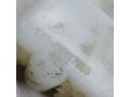 bacok-omyvatelia-vortex-tingo-art-15637-small-3