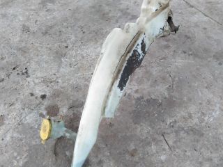 bacok-omyvatelia-ford-focus-1-rest-art-29552