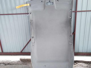 potolok-salona-xetcbek-ford-focus-1-rest-art-30709