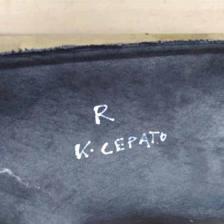 obsivka-bagaznika-pravaia-sedan-kia-cerato-2-art-32038-big-1