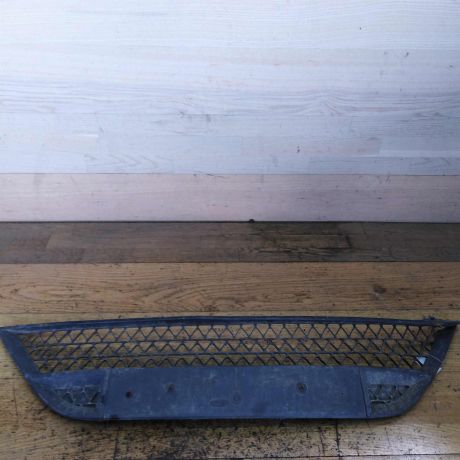 resetka-bampera-centralnaia-defekt-na-foto-ford-focus-2-do-rest-art-32463-big-0