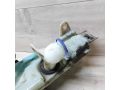 bacok-omyvatelia-ford-focus-2-do-rest-art-45624-small-4