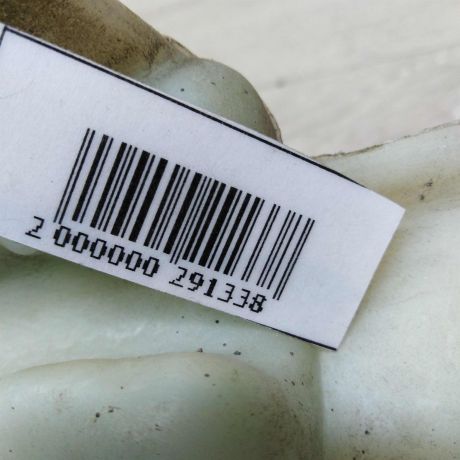 bacok-omyvatelia-lobovogo-stekla-ford-focus-2-do-rest-art-46126-big-1