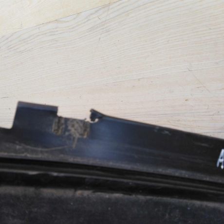 nakladka-dekorativnaia-dozdevik-zabo-shhitok-vodootvodiashhii-ford-focus-2-do-rest-art-46242-big-3