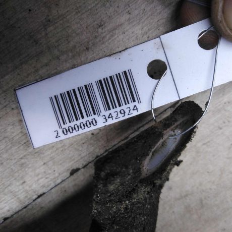 bacok-omyvatelia-skoda-octavia-tour-do-rest-art-52651-big-5