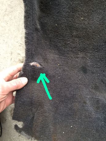 kover-salona-toyota-camry-v40-kovrovoe-pokrytie-art-59893-big-8