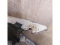 bamper-perednii-peugeot-307-do-rest-bu-original-art-62882-small-4
