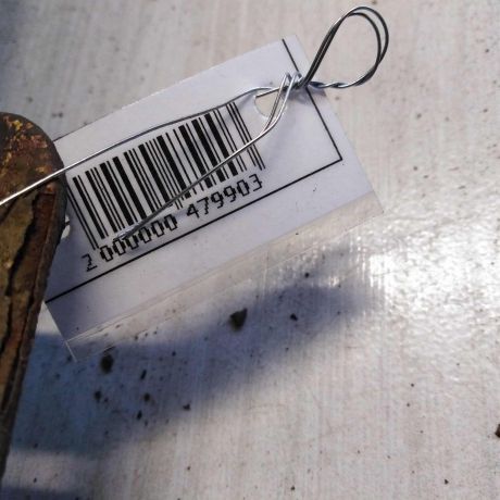 usilitel-perednego-bampera-ford-focus-1-art-74812-big-1