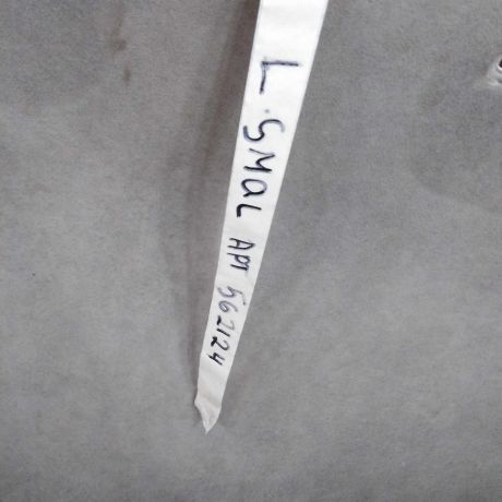 obsivka-potolka-lifan-smily-i-320-art-87899-big-9