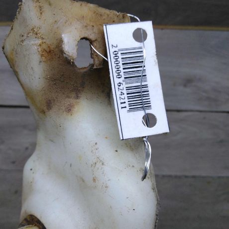 bacok-omyvatelia-renault-megane-i-art-96031-big-2