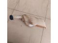 bacok-omyvatelia-peugeot-206-art-97291-small-4
