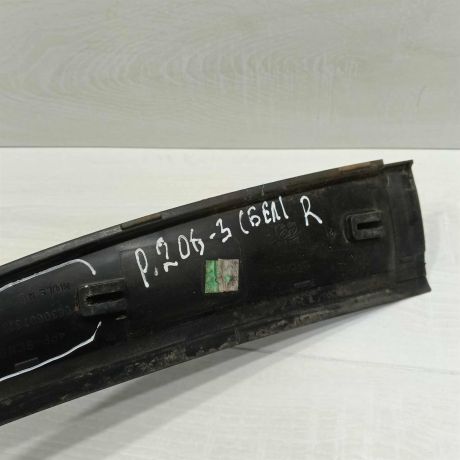 dekorativnaia-nakladka-zabo-dozdevik-vodootvodiashhii-shhitok-pravyi-peugeot-206-art-97293-big-2