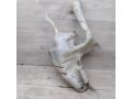 bacok-omyvatelia-volvo-s40-volvo-v40-art-99118-small-4