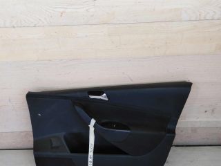 obsivka-dveri-peredniaia-pravaia-volkswagen-passat-b6-sa2-art-100518