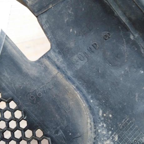 dekorativnaia-nakladka-zabo-dozdevik-vodootvodiashhii-shhitok-peugeot-308-i-art-102364-big-1