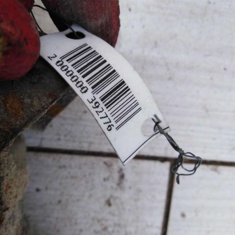 usilitel-zadnego-bampera-ford-focus-2-kabriolet-art-108351-big-2