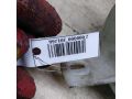 bacok-omyvatelia-renault-sandero-i-art-108758-small-1