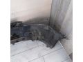 bamper-perednii-geely-emgrand-ec7-defekty-art-111714-small-3