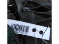 mkpp-fiat-brava-fiat-marea-art-88408-small-5