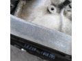 mkpp-toyota-avensis-iii-defekt-art-99261-small-5