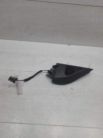 nakladka-peredniaia-levaia-na-dver-v-salone-volkswagen-passat-b6-art-100793-big-0