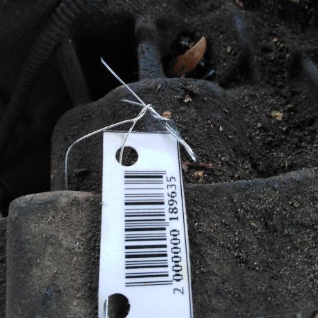 akpp-18i-ford-focus-1-defekt-art-109752-big-6