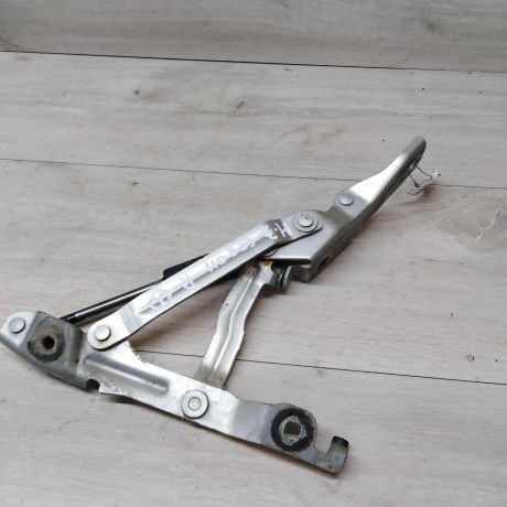 petlia-kryski-bagaznika-pravaia-mazda-3-art-15232-big-1