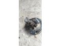 glavnyi-tormoznoi-cilindr-vortex-tingo-art-15738-small-0