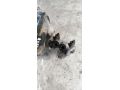 glavnyi-tormoznoi-cilindr-vortex-tingo-art-15738-small-2