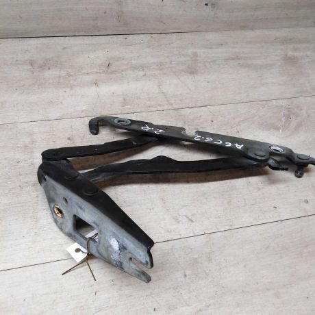 petlia-kryski-bagaznika-pravaia-audi-a6-c6-art-20304-big-1