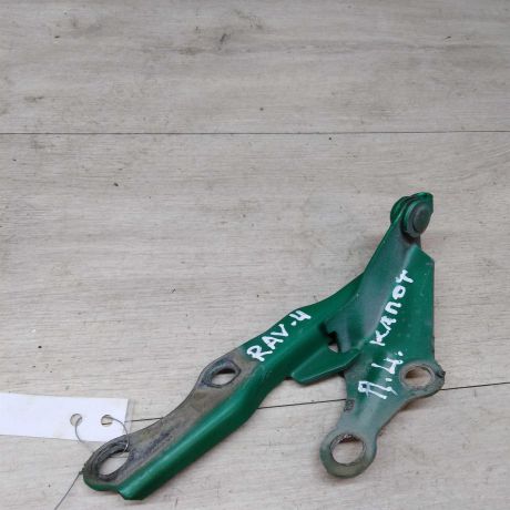 petlia-kapota-levaia-toyota-rav4-art-25849-big-0