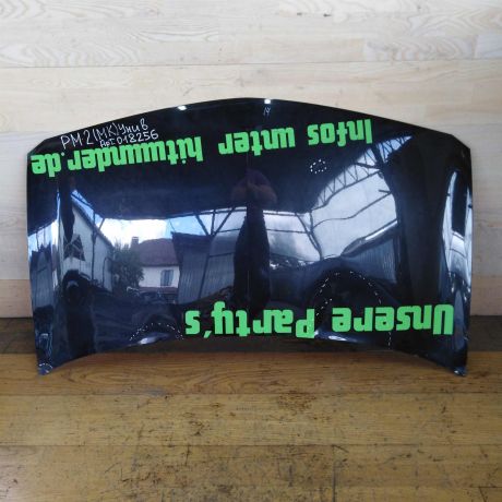 kapot-renault-megane-2-defekt-na-foto-art-35222-big-0