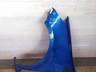 krylo-perednee-levoe-renault-clio-art-36804