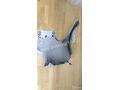 krylo-perednee-levoe-renault-scenic-1-art-37727-small-3