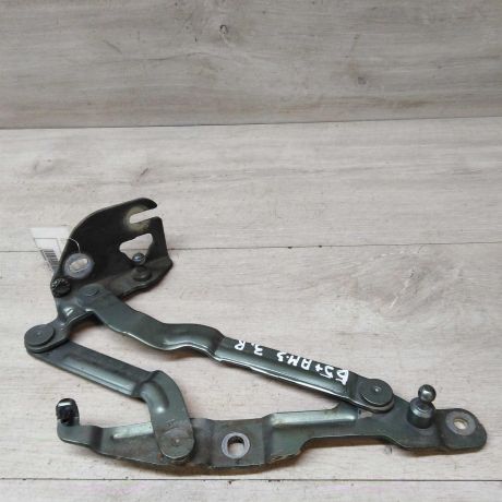 petlia-bagaznika-zadniaia-pravaia-sedan-volkswagen-passat-b5-gp-art-42953-big-0