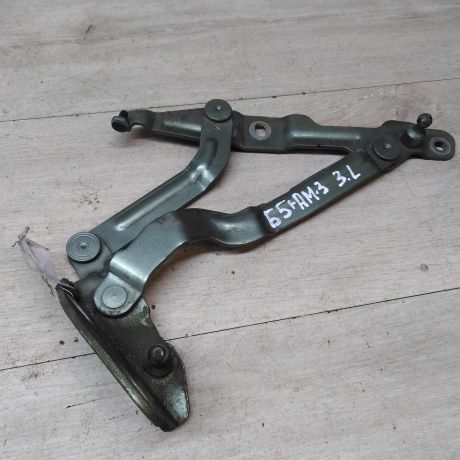 petlia-bagaznika-zadniaia-levaia-sedan-volkswagen-passat-b5-gp-art-42985-big-0