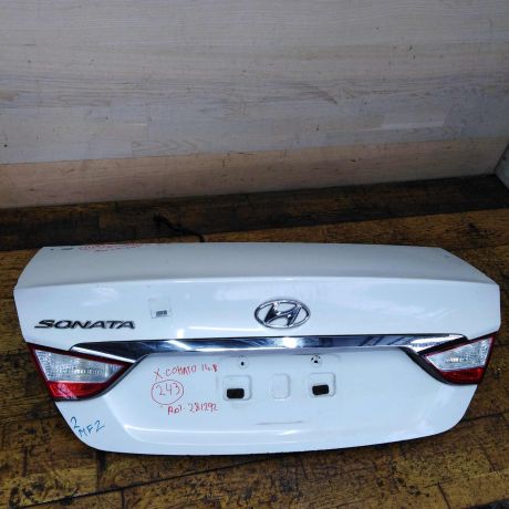 kryska-bagaznika-hyundai-sonata-6-yf-art-43793-big-0