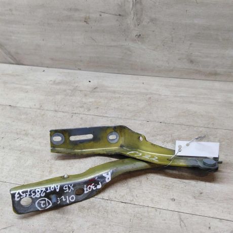 petlia-kapota-pravaia-peugeot-307-art-43939-big-2