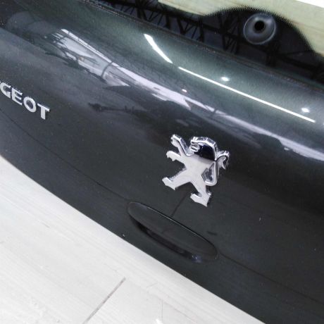 kryska-bagaznika-peugeot-307-art-45280-big-2