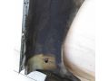 krylo-levoe-chevrolet-niva-07gv-art-48694-small-6