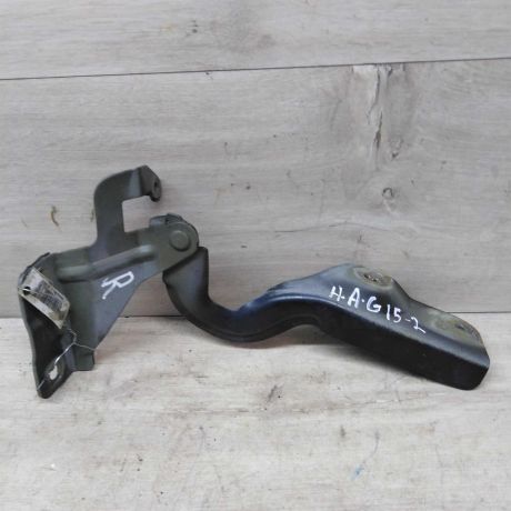 petlia-kapota-pravaia-nissan-almera-iii-g15-art-48978-big-0