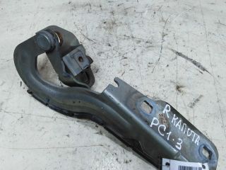 petlia-kapota-pravaia-renault-scenic-1-do-rest-art-49537