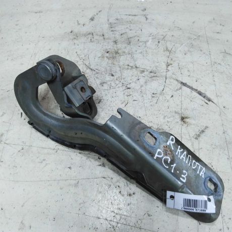 petlia-kapota-pravaia-renault-scenic-1-do-rest-art-49537-big-0